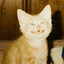 klems