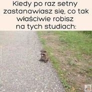 wóz z węglem
