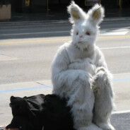 老头八十有低保