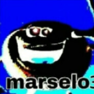 marselo