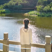 橙红色海芋象辉