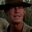 Gunny