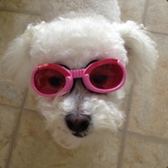 Christiealpha1 - steam id 76561197960772159