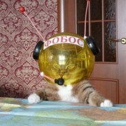 Котозавр (RUS)