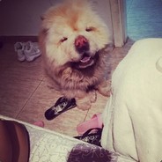 我特么心态崩了