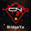 BridgeYa