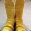 Golden Socks