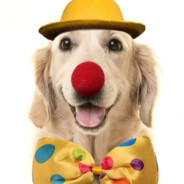 Puppy clown - steam id 76561197962467467