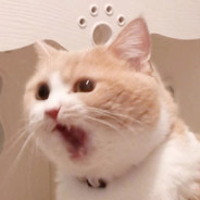 桃桃真的很不错Yeah！