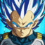 VEGETA