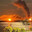 lamaZ-