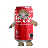 PING