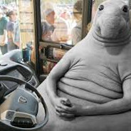 [©©©]«Mikip»™