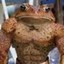 Battle_Toad