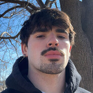 • H O R N E T • (17cm)