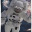 Slothstronaut