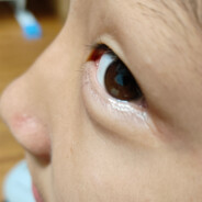 Major和半糖小子