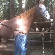 Federico García Mazorca