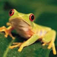 TreeFrog's Avatar