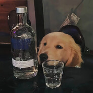 蘑菇与广岛的故事