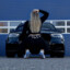 300 KM/H AUDI PEEKbandit.gg
