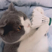 沙鹰干拉玩手机