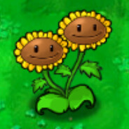 Twin SunF1ower双胞胎向日葵