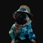 Puggly