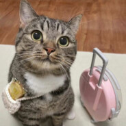 比奇堡突破手派大星