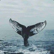 我的镰刀夜里闪着光