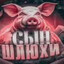 Казёный унитаз