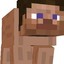 Zasy