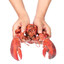 A relatively large lobster