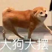 大狗大摆