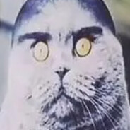 john