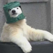 дэбил m4rzz