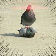 [S]мαят[F]υη #IhaveAutism