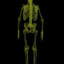 404Bones