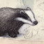 A Clockwork Badger