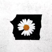 我想送你一束花