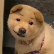 我把你秒了然后呢看什么呢？