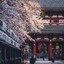 冈部伦子