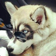 温州大神周一刀