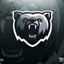 bear vac