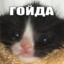 Вода 5л.