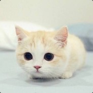 酸奶味的大叔乐a