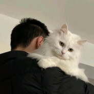 逃不过的终究散场