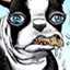 doo