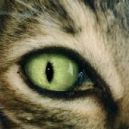 开局便是寄中寄骷髅海里做兄弟