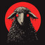 The Sheep